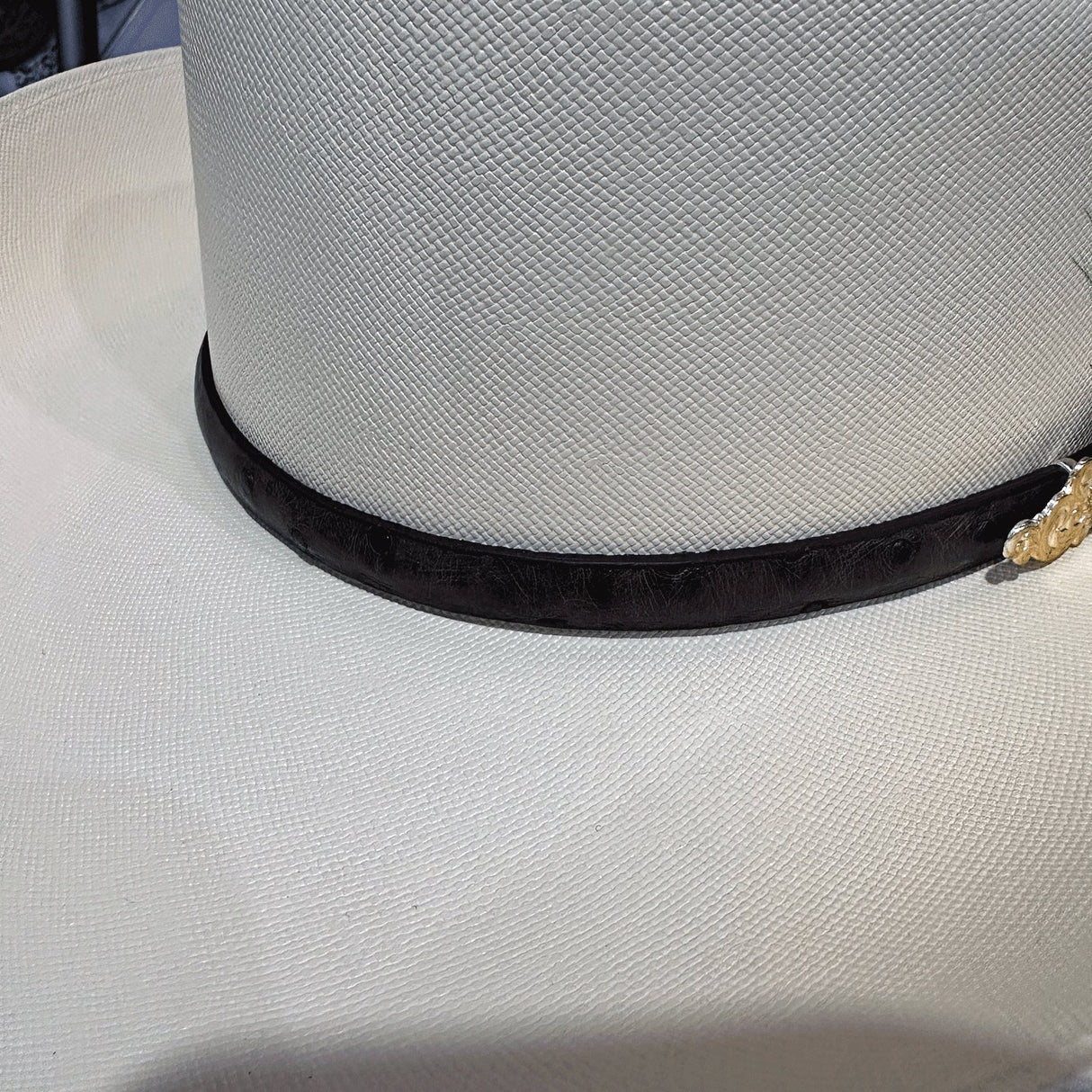 Chaparral 10,000x F9cm - Tombstone - Tiendacharra.com - Bodega Tienda Charra