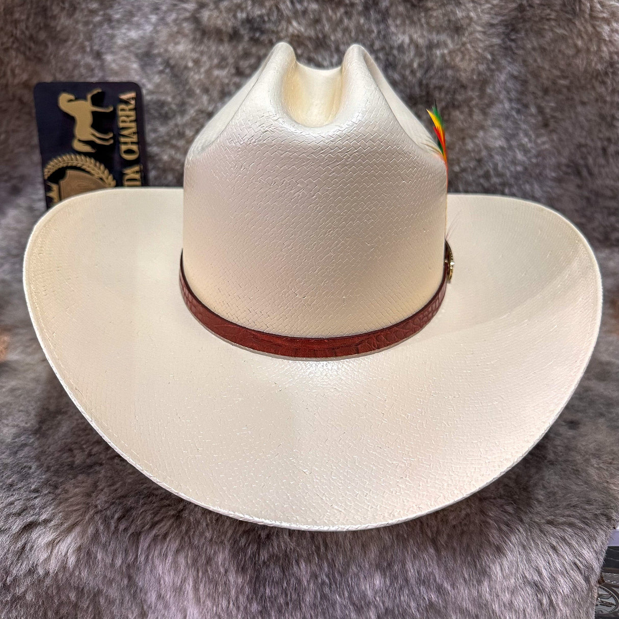 Chaparral 15x paja F9cm - Tombstone - Tiendacharra.com - Bodega Tienda Charra