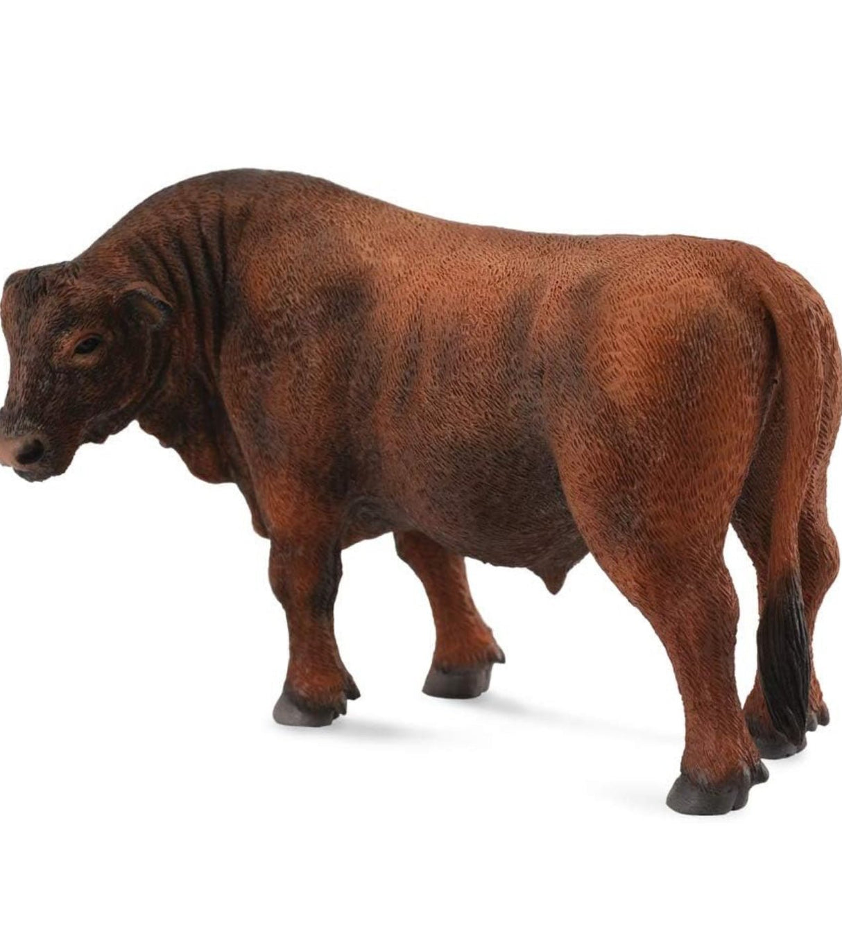 Red Angus Bull - Tiendacharra.com - Bodega Tienda Charra