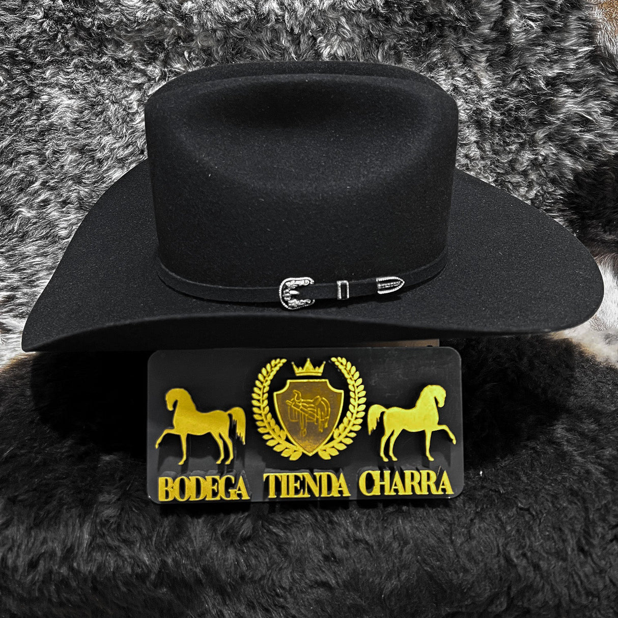 Stetson Skyline 6x Negro - Pelo de Castor - Tiendacharra.com - Bodega Tienda Charra