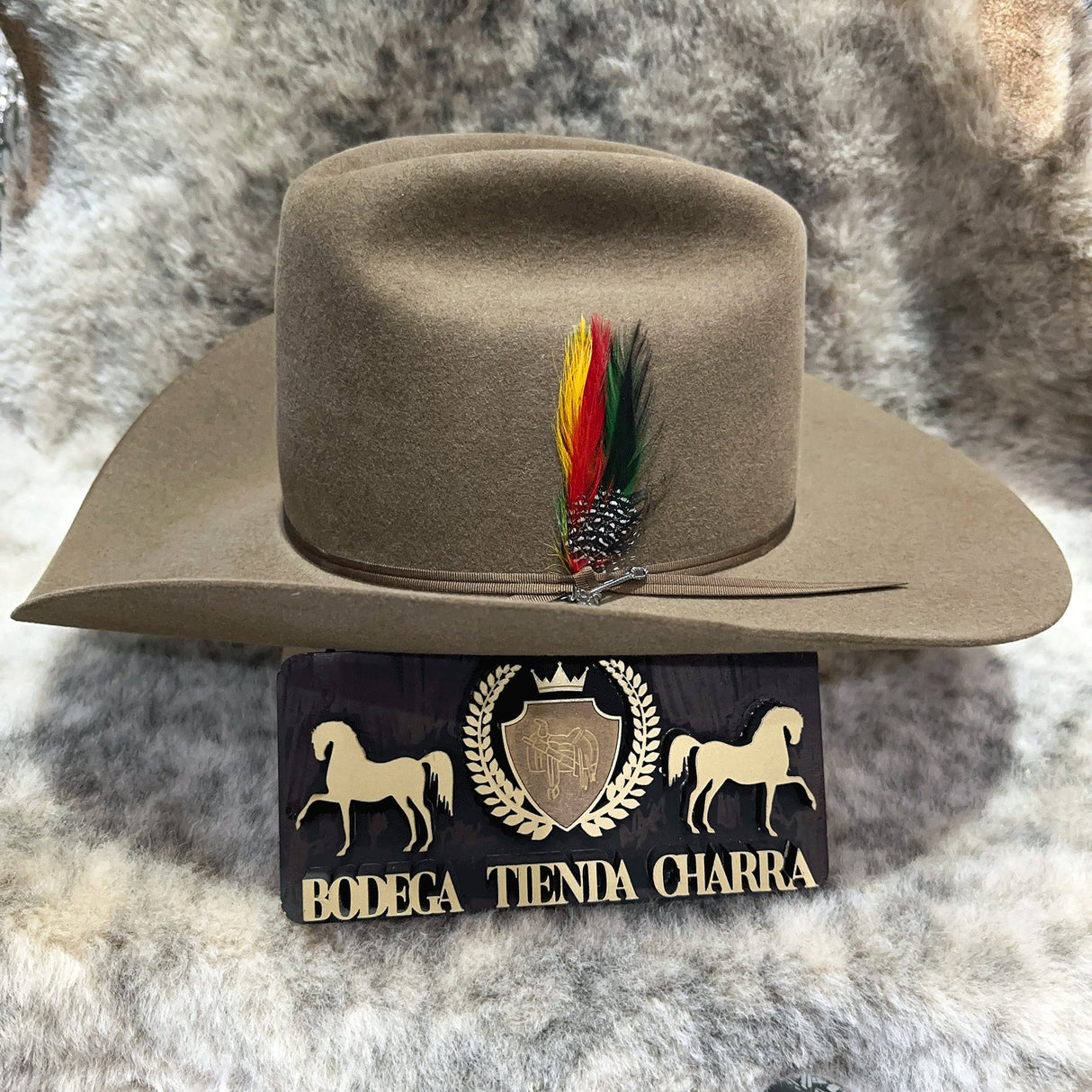 Texana Stetson Rancher 6x Acorn - Pelo de Castor - Tiendacharra.com - Bodega Tienda Charra