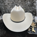 Chaparral 200x - Tombstone