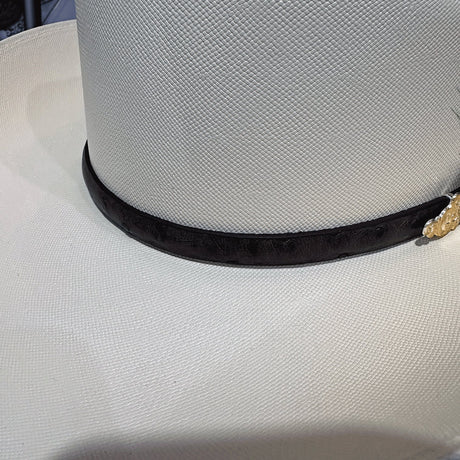 Chaparral 10,000x F9cm - Tombstone - Tiendacharra.com - Bodega Tienda Charra