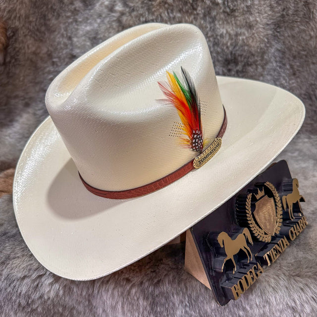 Chaparral 15x paja F9cm - Tombstone - Tiendacharra.com - Bodega Tienda Charra