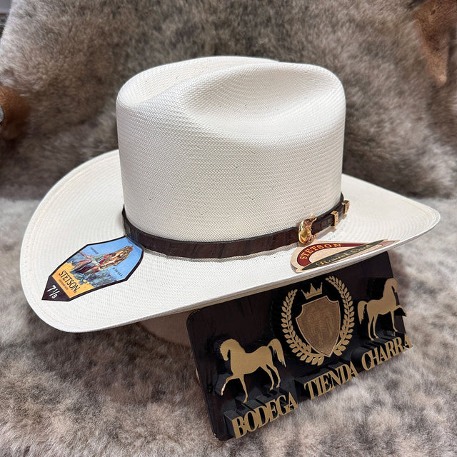 Stetson Evilla de Oro 1000x f8.5cm - Tiendacharra.com - Bodega Tienda Charra