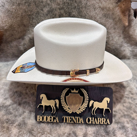 Stetson Evilla de Oro 1000x f8.5cm - Tiendacharra.com - Bodega Tienda Charra