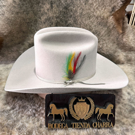 Stetson Rancher 6x Silverbelly - Pelo de Castor - Tiendacharra.com - Bodega Tienda Charra