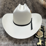 Chaparral 1000x toq. biplay  - Tombstone